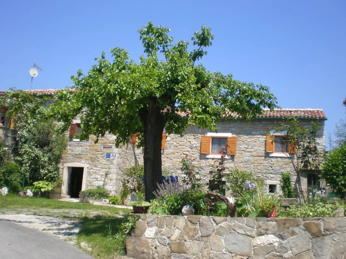 Holiday home Holiday House With A Swimming Pool Cepic, Central Istria - Sredisnja Istra - 7403 Croatia